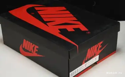 OG 1 Air High “Heirloom” Jordan Retro 0511
